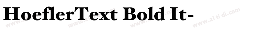 HoeflerText Bold It字体转换